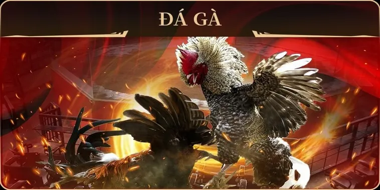 Hướng Dẫn Chi Tiết Cách Chơi Đá Gà GA28 Tại Cổng Game RikVip
