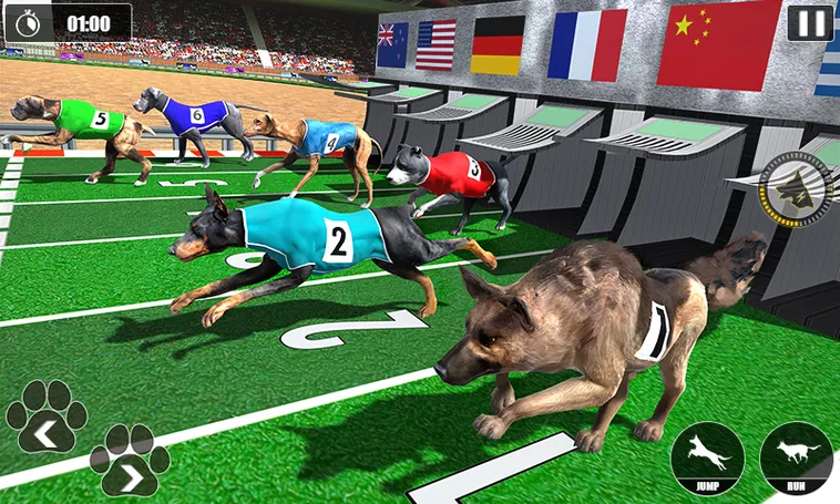 Cách Chơi Game Nhanh Đua Chó Tại RikVip Hiệu Quả Cho Người Mới Bắt Đầu