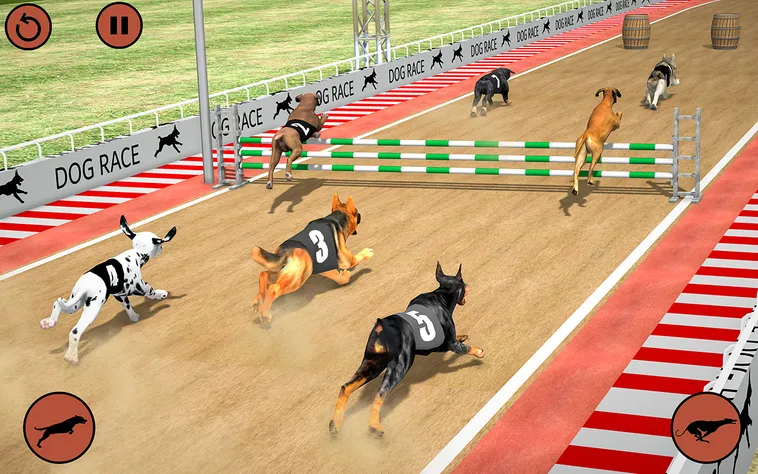 Cách Chơi Game Nhanh Đua Chó Tại RikVip Hiệu Quả Cho Người Mới Bắt Đầu