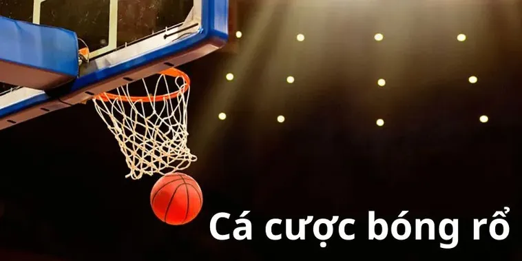 Tìm Hiểu Cá Cược Bóng Rổ RikVip Và Những Kinh Nghiệm Hiệu Quả Nhất